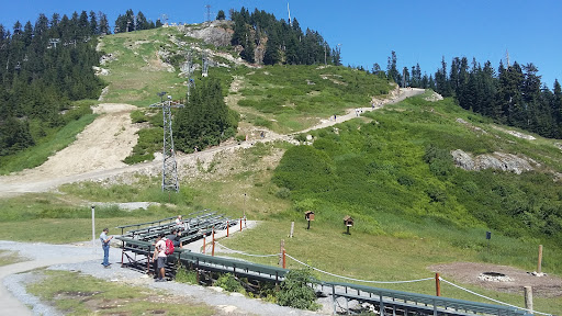 Grouse Mountain Zip Lines, Grouse Mountain Lodge, North Vancouver, BC V7R 4K9