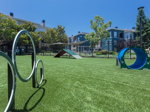 Avalon Silicon Valley image