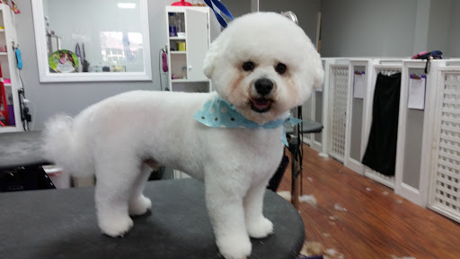 Pet Groomer «Fetching Styles, LLC», reviews and photos, 90 Foothills Pkwy c202, Marble Hill, GA 30148, USA