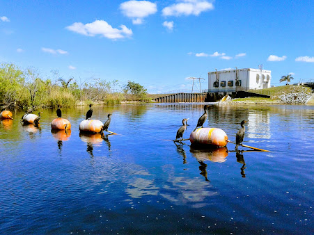 Everglades Holiday Park Airboat Tours and Rides