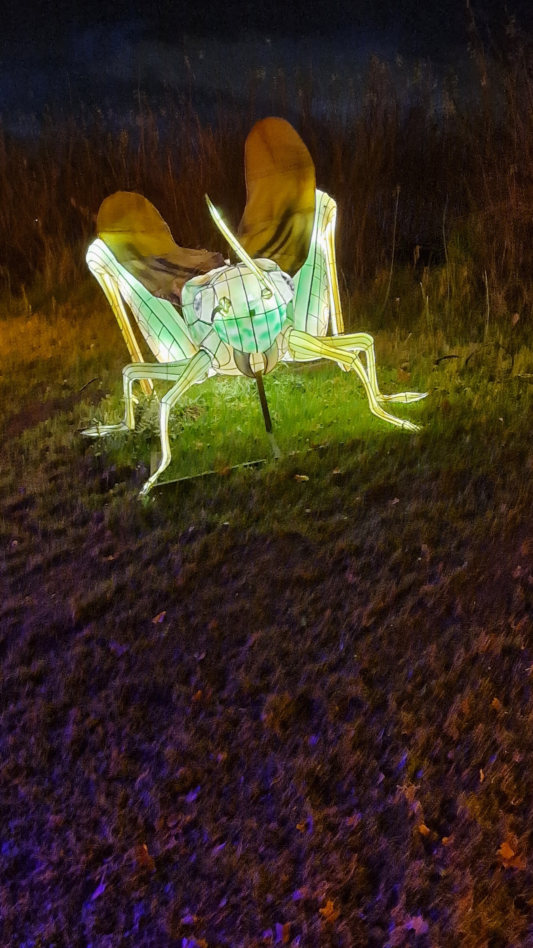 Photo n° 10 de l'avis de Marie.i fait le 29/12/2023 à 15:13