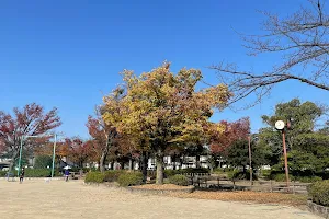Morimoto Central Park image