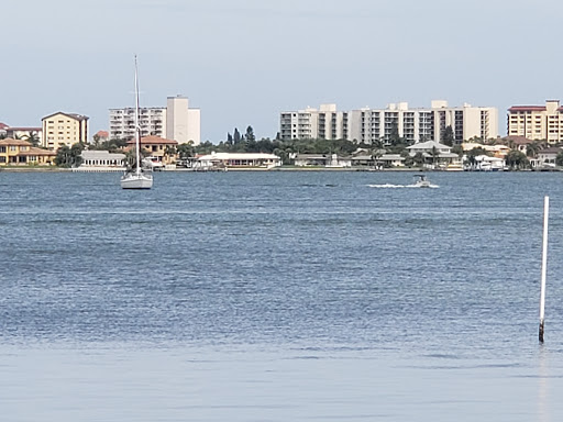 Discount Store «Dollar General», reviews and photos, 1600 N Myrtle Ave, Clearwater, FL 33755, USA