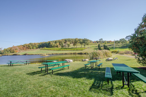 Winery «Millbrook Vineyards & Winery», reviews and photos, 26 Wing Rd, Millbrook, NY 12545, USA