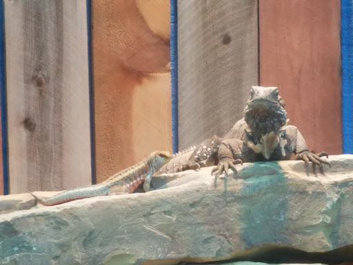 Aquarium «Newport Aquarium», reviews and photos, 1 Aquarium Way, Newport, KY 41071, USA