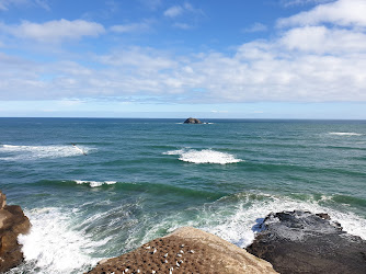 Muriwai Beach