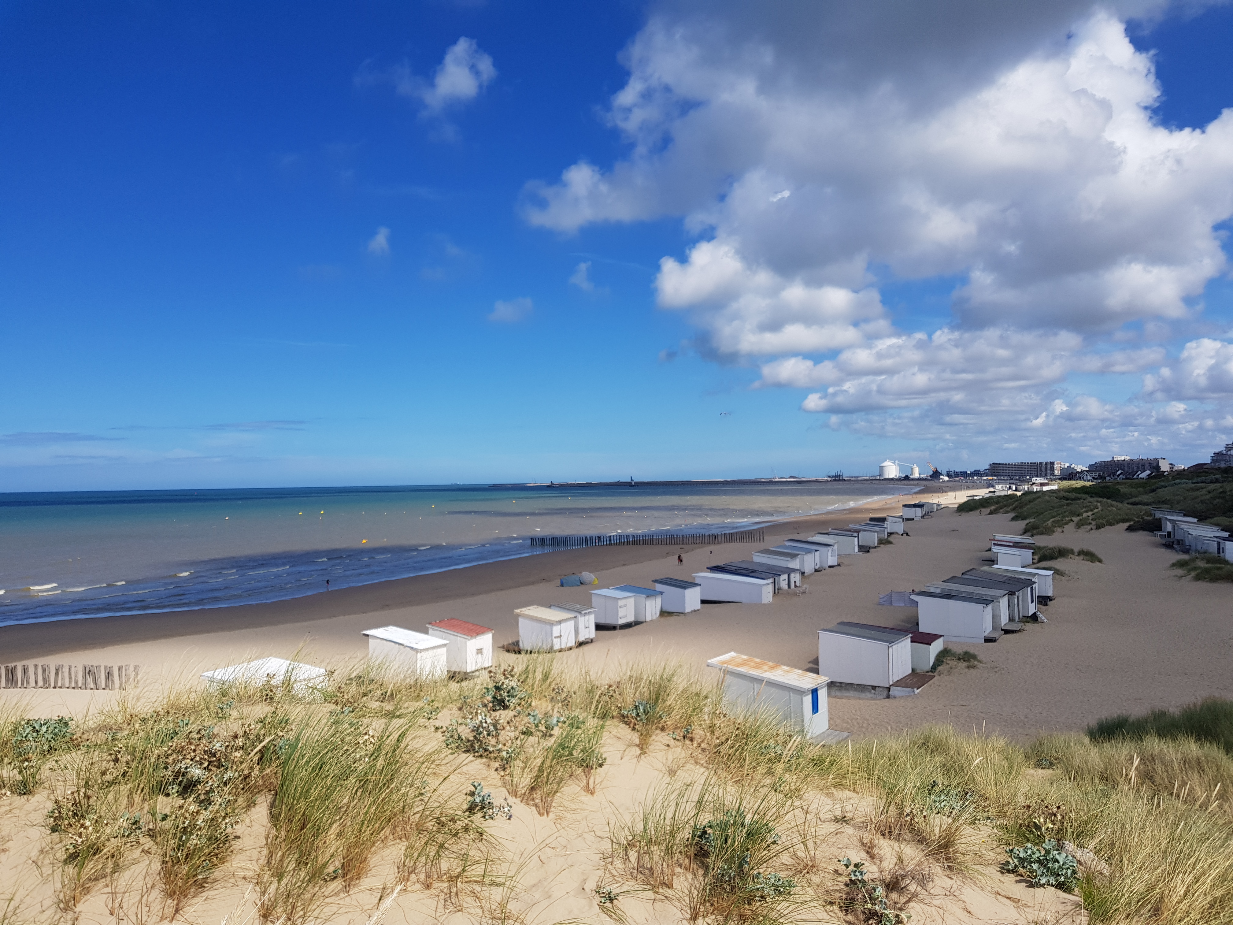 Photo n° 1 de l'avis de Kamel.i fait le 19/08/2020 à 15:21