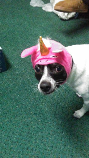 Dog Park «Hazeldale Park/ Dog park», reviews and photos, SW Farmington Rd, Aloha, OR 97007, USA