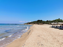 Agios Ilias beach'in fotoğrafı düz ve uzun ile birlikte