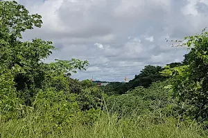 Sendero Ecológico Cerro Gordo | Costa Verde La Chorrera Panamá image