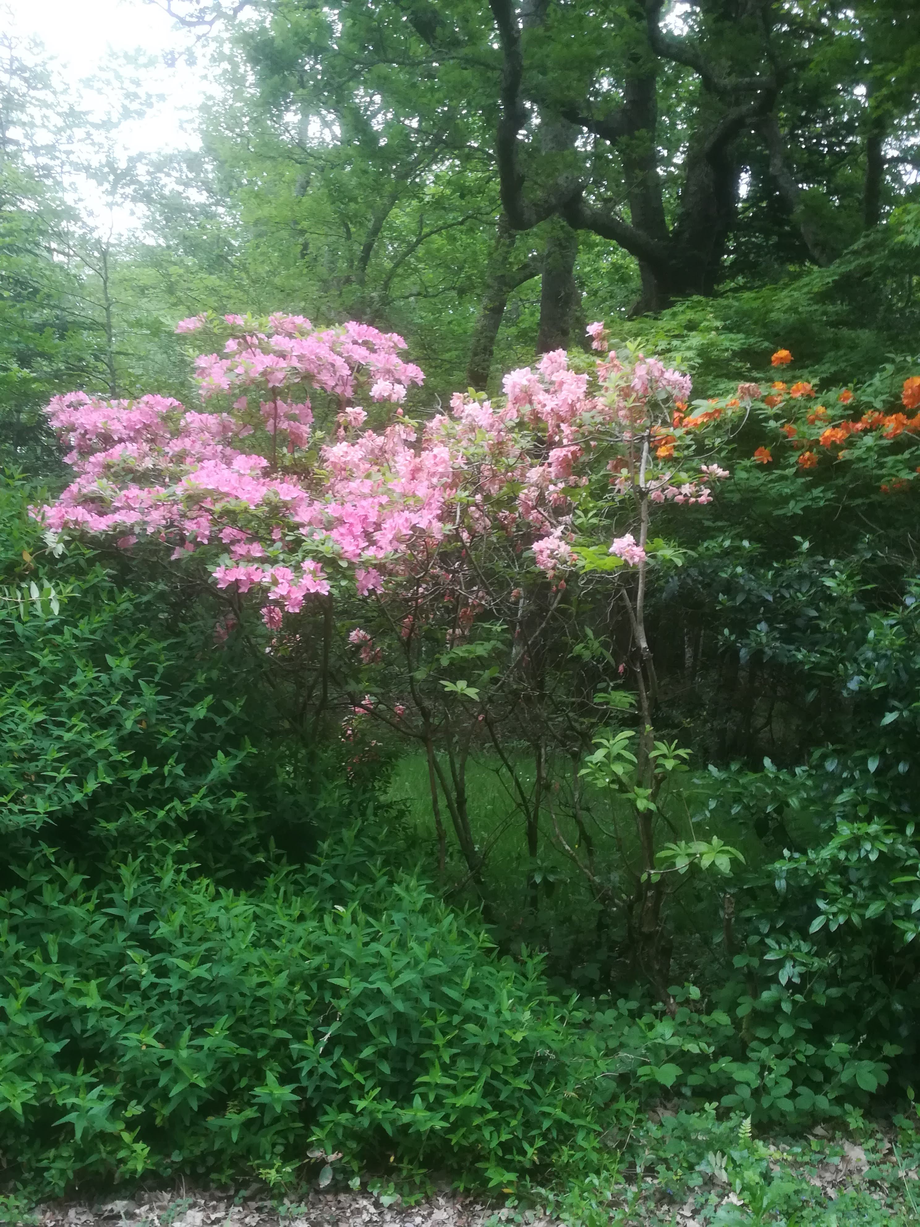 Photo n° 4 de l'avis de nathalie.a fait le 17/05/2019 à 12:46