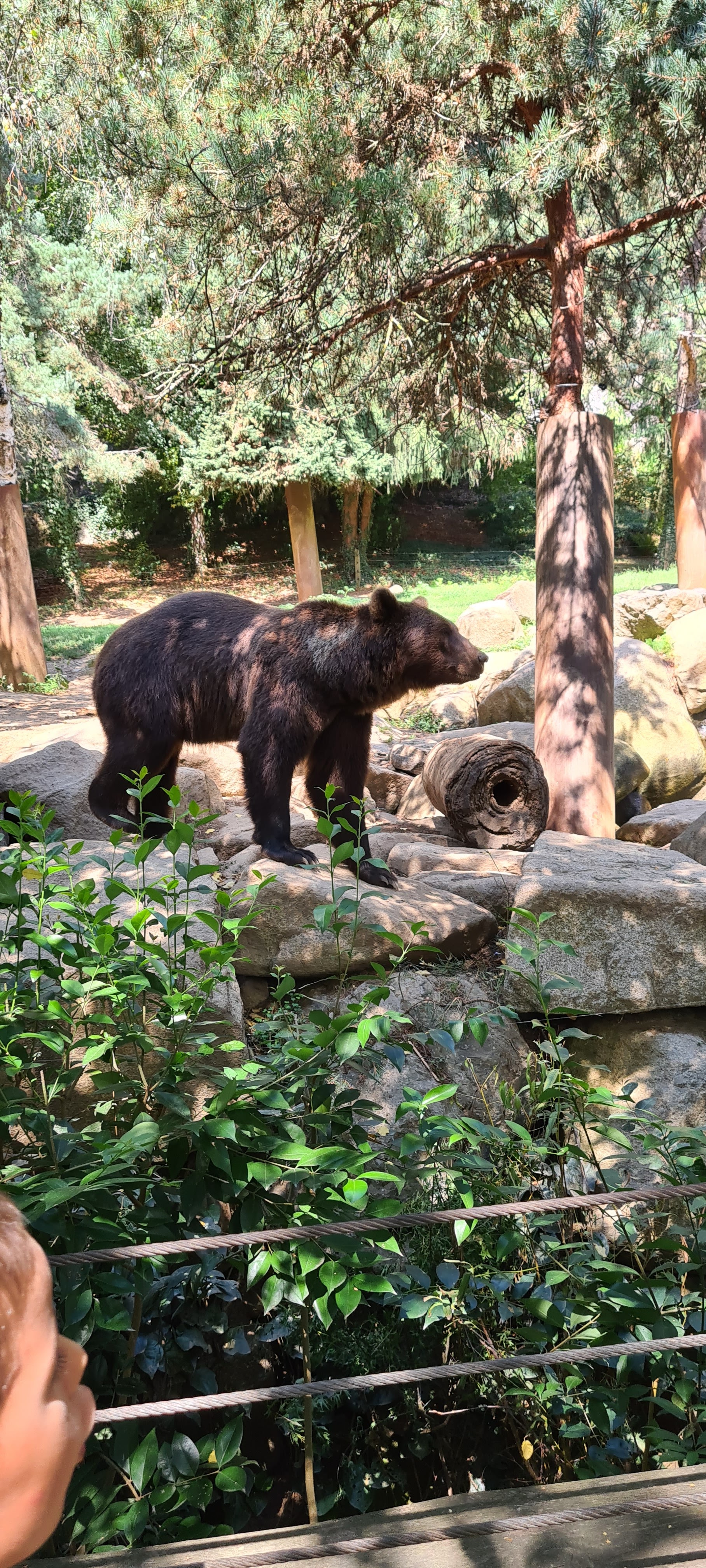 Photo n° 3 de l'avis de Julie.u fait le 15/08/2022 à 13:03