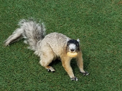 Golf Club «World Woods Golf Club», reviews and photos, 17590 Ponce De Leon Boulevard, Brooksville, FL 34614, USA