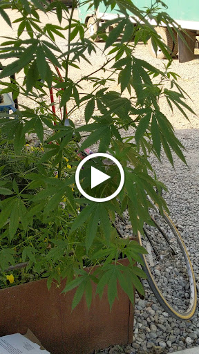 Brewery «Foam Brewers», reviews and photos, 112 Lake St, Burlington, VT 05401, USA