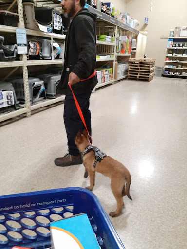 Pet Supply Store «PetSmart», reviews and photos, 1700 Fruitville Pike, Lancaster, PA 17601, USA