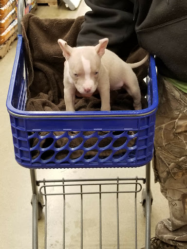 Pet Supply Store «PetSmart», reviews and photos, 8281 Troy Pike, Huber Heights, OH 45424, USA