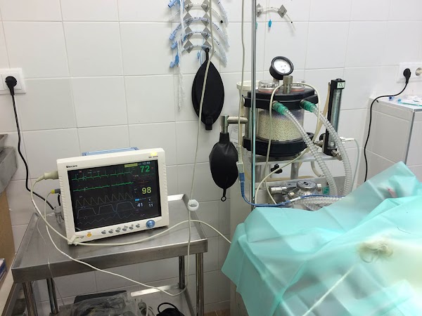 Clínica Veterinaria El Espinar