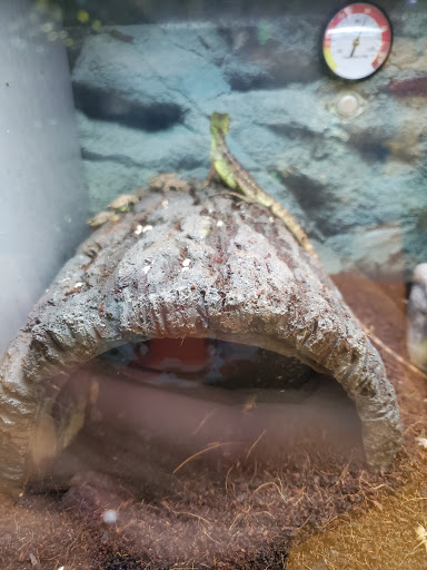 Pet Supply Store «Petco Animal Supplies», reviews and photos, 1350 S Ironton St #120, Aurora, CO 80012, USA