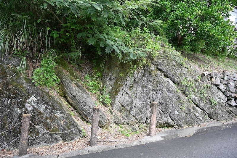 下白岩ジオサイト（レピドシクリナ化石産地）