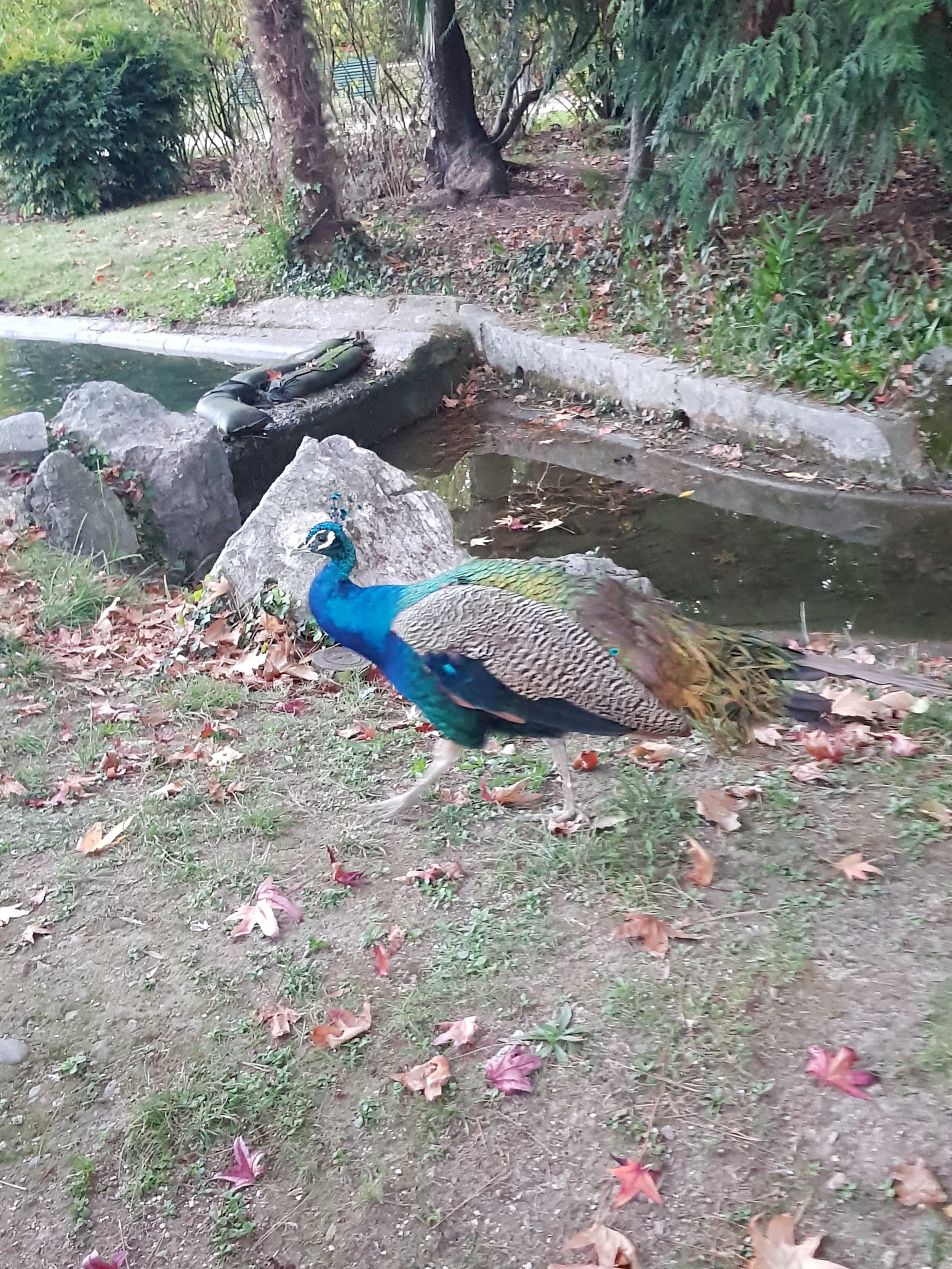 Photo n° 3 de l'avis de Chaya.h fait le 11/11/2022 à 15:41