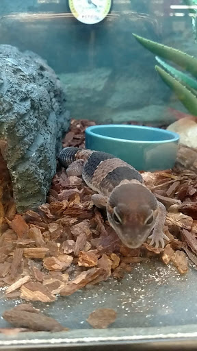 Pet Supply Store «Petco Animal Supplies», reviews and photos, 6140 University Dr, Huntsville, AL 35806, USA