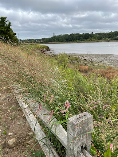 Water Park «Petersen Splash Pad at Watson Park», reviews and photos, Gordon Rd, Braintree, MA 02184, USA