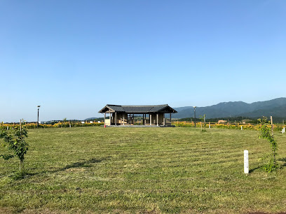 風の丘 公園