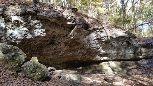 Nature Preserve «John M Olin Nature Preserve», reviews and photos, 2213 South Levis Lane, Godfrey, IL 62035, USA