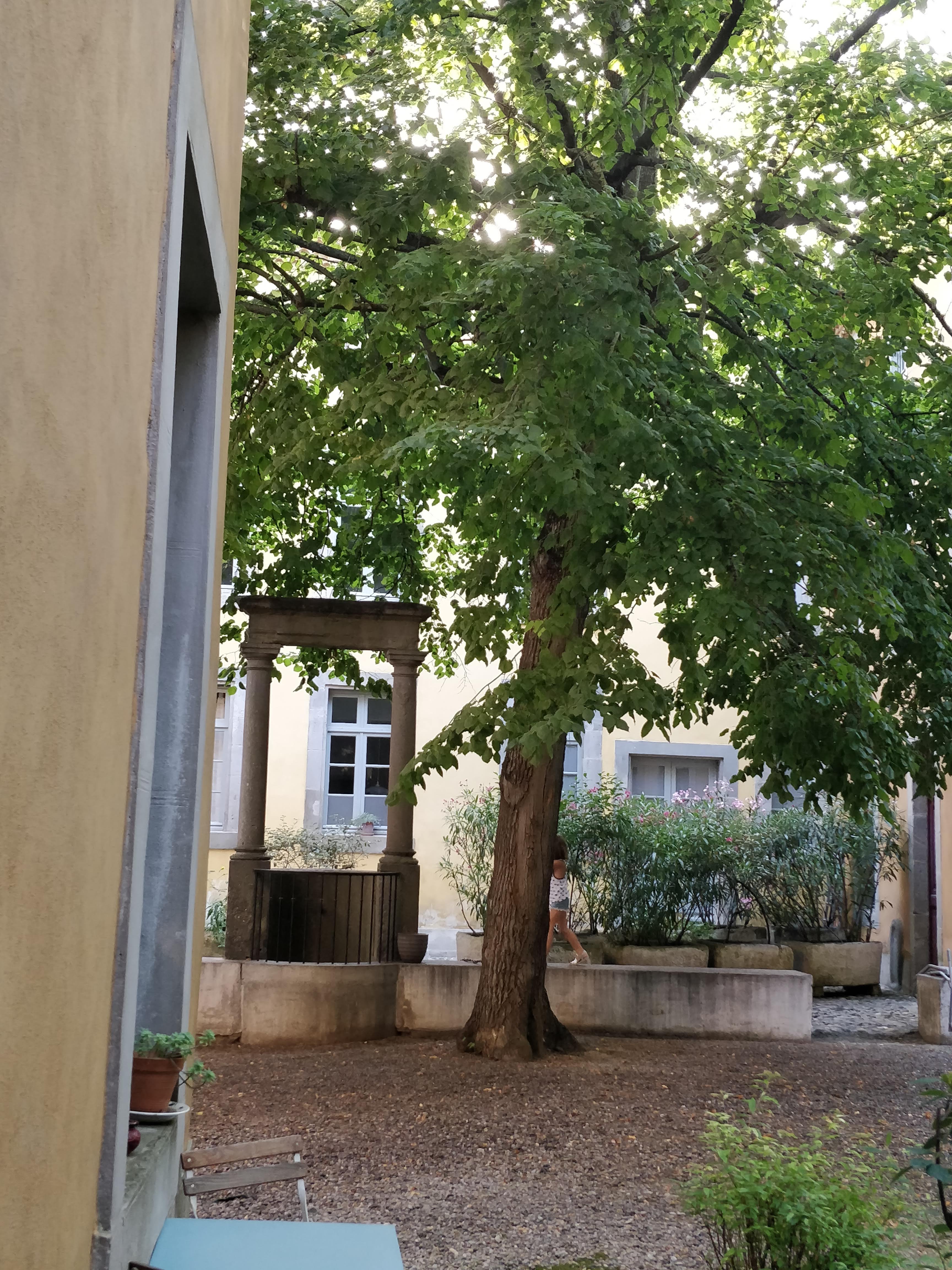 Photo n° 5 de l'avis de Christine.a fait le 14/07/2018 à 18:45