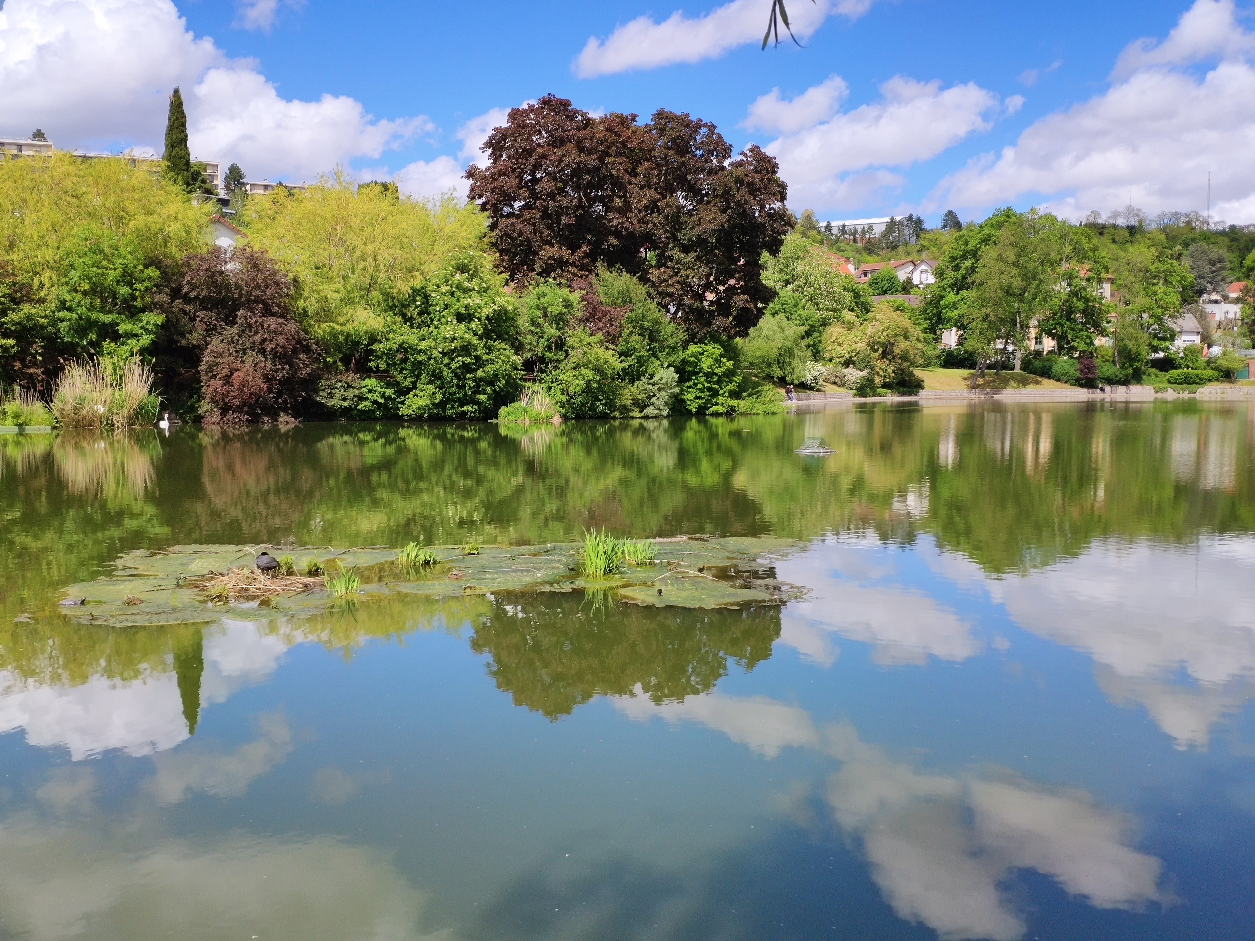 Photo n° 1 de l'avis de nicolas.e fait le 13/05/2021 à 14:43