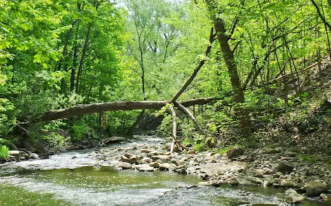 Conseil de bassin de la rivière Beauport (CBRB) image