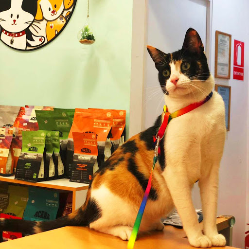 Cat-oh Pet shop