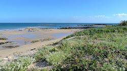 Zdjęcie Plage de Jonville z proste i długie