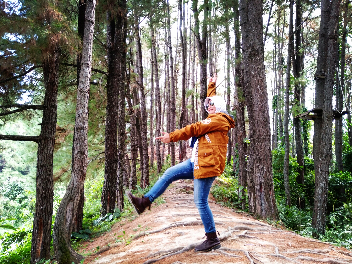 Objek wisata hutan pinus: Harga Tiket, Foto, Lokasi, Fasilitas dan Spot