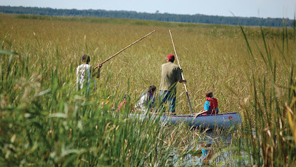 Leech Lake Wild Rice