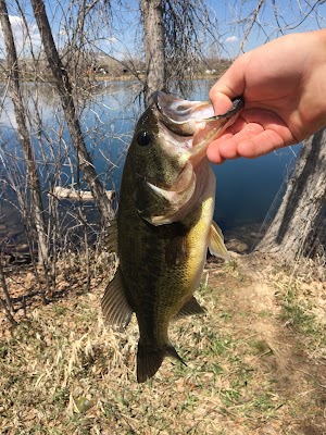 Pella Crossing - photo 9