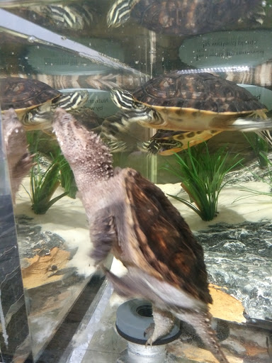 Aquarium «The River Center», reviews and photos, 805 US-1, Jupiter, FL 33477, USA