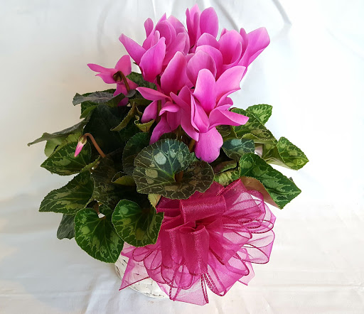 Florist «Midwood Flower Shop», reviews and photos, 2415 Central Ave, Charlotte, NC 28205, USA