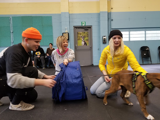 Ottawa Canine School