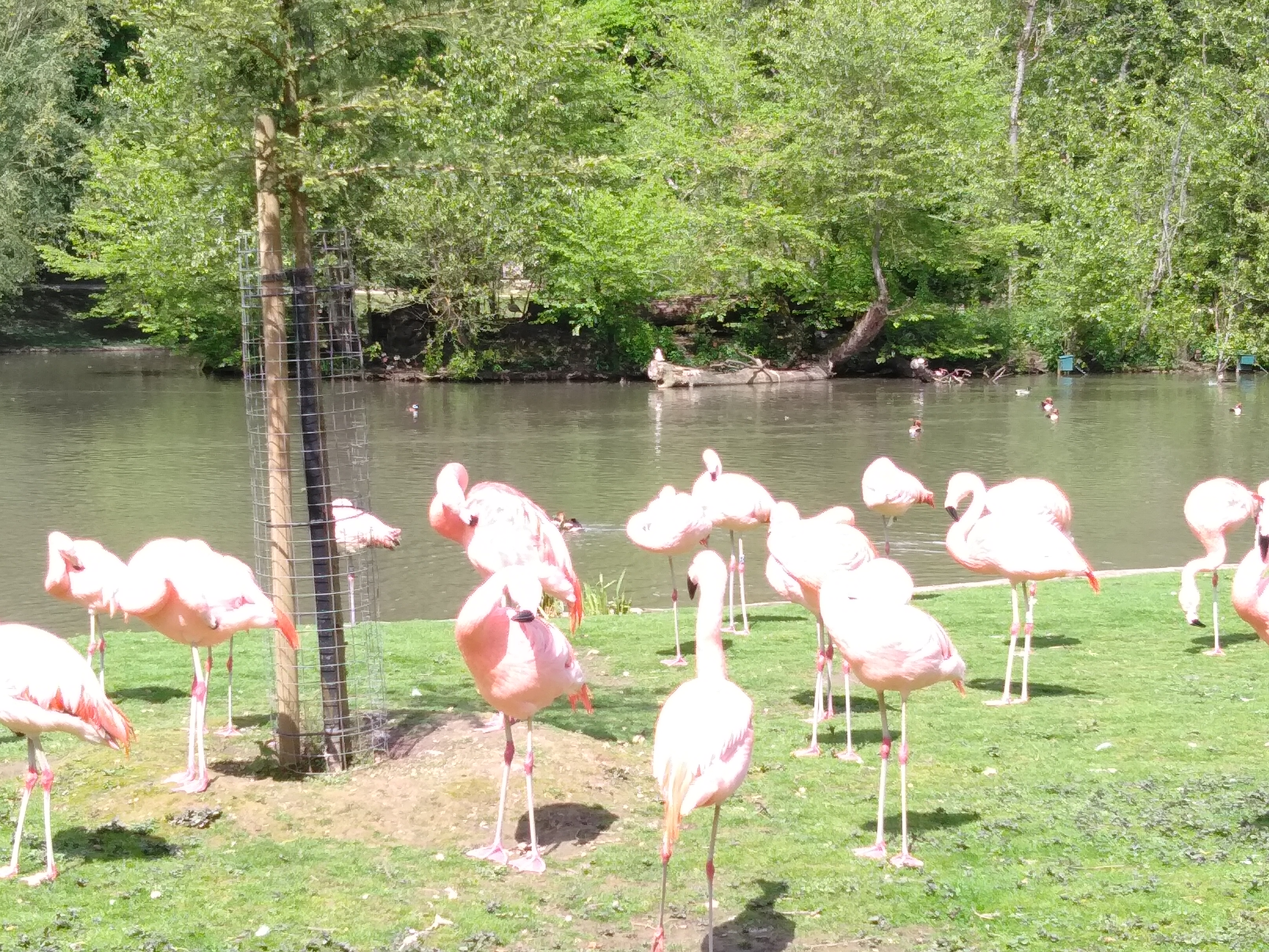 Photo n° 4 de l'avis de Francois.u fait le 08/05/2019 à 16:10