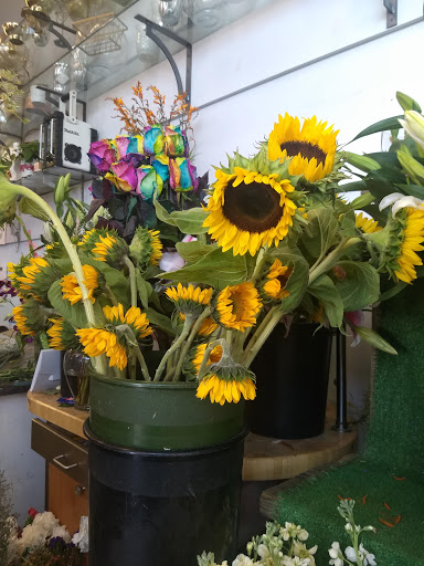 Florist «Stein Your Florist Co.», reviews and photos, 7059 Frankford Ave, Philadelphia, PA 19135, USA