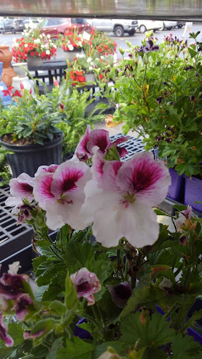 Hardware Store «Westlake Ace Hardware», reviews and photos, 5945 NE Antioch Rd, Gladstone, MO 64119, USA