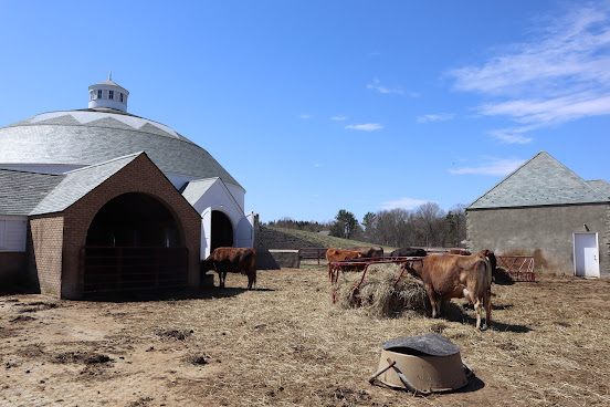 Churchtown Dairy by null