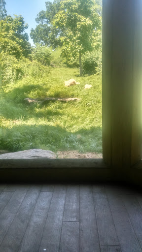 Park «Joe Creason Park», reviews and photos, 1297 Trevilian Way, Louisville, KY 40213, USA