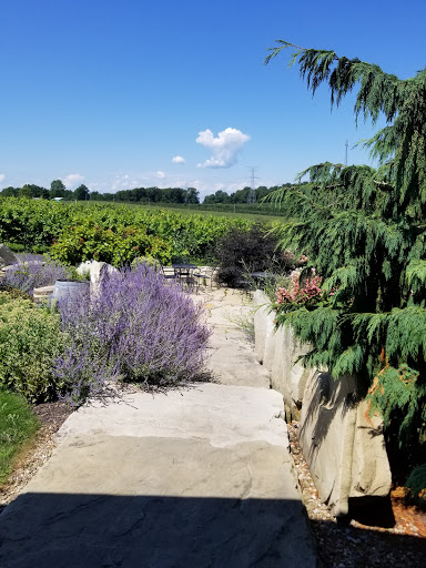 Winery «Quarry Hill Winery», reviews and photos, 8403 Mason Rd #2, Berlin Heights, OH 44814, USA