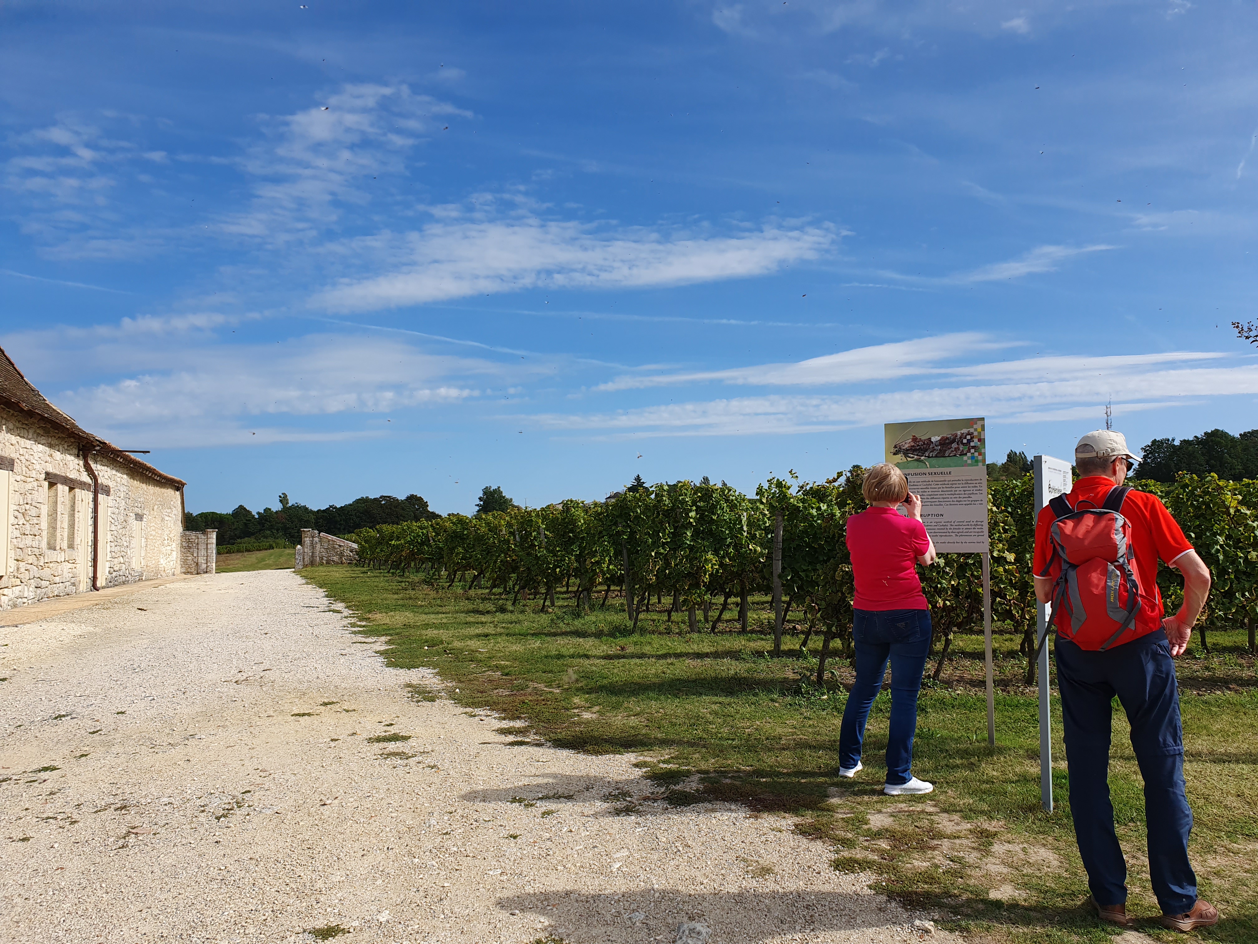 Photo n° 17 de l'avis de Oxy.o fait le 29/09/2019 à 17:50