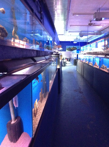 Tropical Fish Store «Tropi-Quatics Pet Center», reviews and photos, 337 S Main St, Lombard, IL 60148, USA