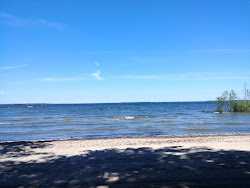 Photo de Magnus Beach avec un rivage spacieux