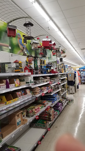 Hardware Store «Vision Ace Hardware», reviews and photos, 8538 Gunn Hwy #10, Odessa, FL 33556, USA