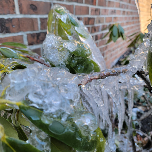 Golf Course «Flying Hills Golf Course», reviews and photos, 14 Village Center Dr, Reading, PA 19607, USA